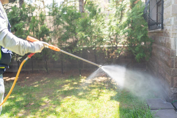 Best Termite Control Services  in Aspen Hill, MD
