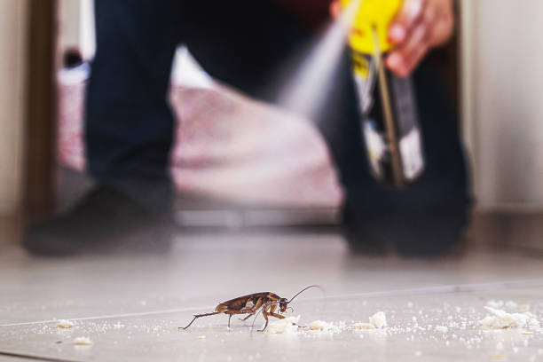 Best Pest Control Treatment  in Aspen Hill, MD