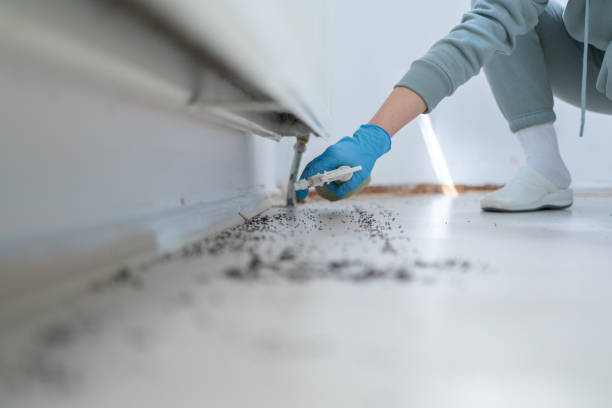 Best Wasp Removal Services  in Aspen Hill, MD